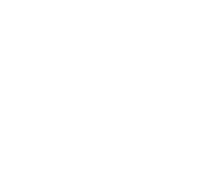 Магніт Alnico